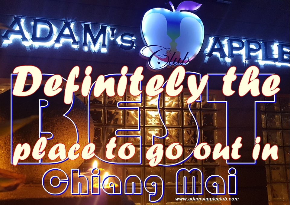 Go out in Chiang Mai Definitely the BEST place Adams Apple Club Adult Male Entertainment with Ladyboy Liveshow Host Bar Gay Club Nightclub LGBTQ