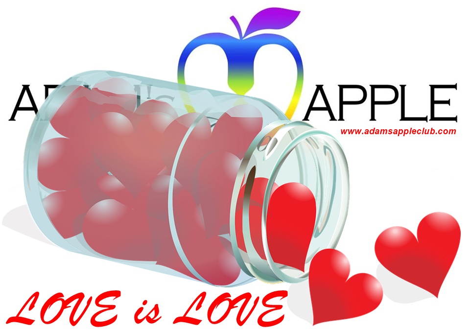 LOVE is LOVE Adams Apple Club Chiang Mai Gay Bar Nightclub