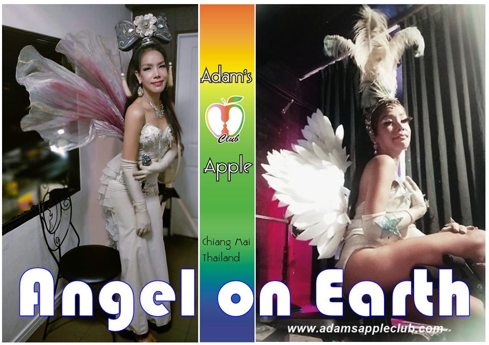 Our Angel on Earth Chiang Mai Adams Apple Club Show Bar Thailand OPEN every Night 9:00 PM and our amazing unique Show START every Night 10:00 PM.