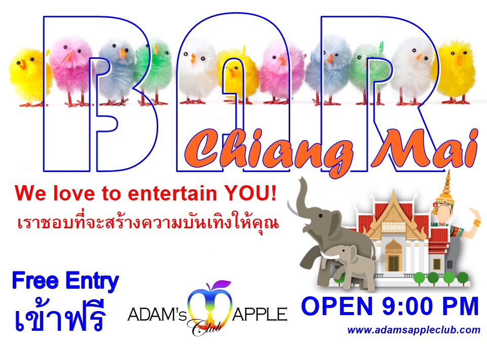 BAR Chiang Mai Adams Apple Club Show Bar Thailand OPEN every Night 9:00 PM and our amazing unique Show START every Night 10:00 PM.